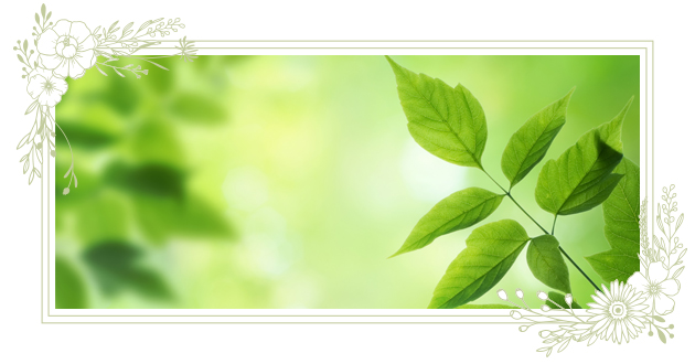 garden ガーデン　岡山市　番町　コンセプト